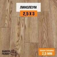 Линолеум для пола на отрез 2,5х3 м. Комитекс, коллекция Парма, Рига 475, бытовой, 21 класс