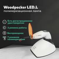 Woodpecker LED.L - стоматологическая полимеризационная светодиодная лампа повышенной мощности