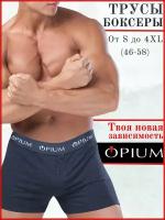 Мужские трусы-шорты с пуговицей темно-синие Opium Boxer R31 XL (52)