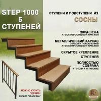 Лестница-крыльцо STEP 1000, 5 ступеней