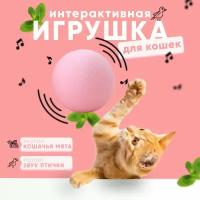 Игрушка для кошек, мячик с кошачьей мятой, мячик со звуком 