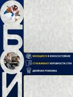 Декоративные обои винил на флизелиновой основе детские ФОКС Персей Персей