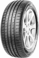 195/55R16 Minerva F209 91V