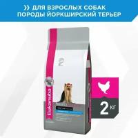 Сухой корм для собак Eukanuba Breed Specific Йоркширский терьер, курица 1 уп. х 1 шт. х 2 кг (для мелких и карликовых пород)