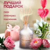 Breesal диффузор Aroma Sphere Свежесть чувств, 40 мл 1 шт