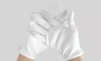 Белые хлопковые перчатки 2 пары размер L