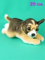 Мягкая игрушка собака Чихуахуа 25 см