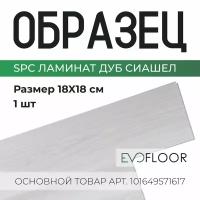 SPC ламинат Evofloor Optima Click - Дуб Сишел - образец