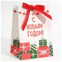 Пакет подарочный с лентой «Подарочки», 13 × 19 × 9 см