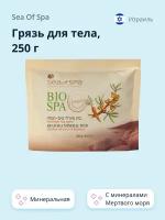 Грязь для тела SEA OF SPA минеральная Мертвого моря 250 г