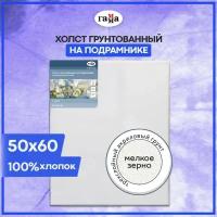 Холст ГАММА Студия на подрамнике 50х60 см (280818_20) белый 60 см