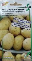 Картофель Ривьера, (БСК) Ботанические семена картофеля, ультраранний, урожай до цветения, высокий урожай здоровых клубней на 2 год, 25 семян