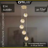 Citilux Томми CL102053 Подвесной светильник Бронза