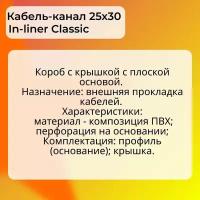 Кабель-канал для проводов белый 25х30 DKC Premium In-liner Classic пластик ПВХ L1000 - 2шт