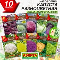 Капуста разноцветная 10 сортов