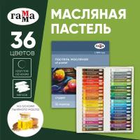 ГАММА Пастель масляная Студия, 36 шт разноцветный