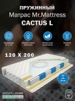 Матрас Mr. Mattress CACTUS L 120x200