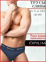 Мужские трусы слипы темно-синие Opium R14T M (48)