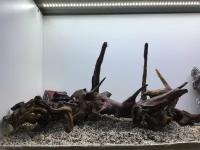 Декор аквариумный коряга коралловое дерево 20-40 см лот 001