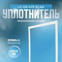 Уплотнитель для холодильника LG GR-479 BLNA. (Морозильная камера), Размер - 720х570 мм. LG