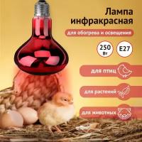 Излучатель тепловой икзк 230-250 R127 E27