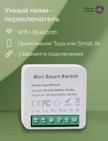 Умное реле Tuya Mini Switch 16А, WiFi + Bluetooth. Работает с Яндекс Алисой