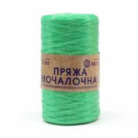 Пряжа для вязания Astra Premium 'Мочалочная' 50 г, 200 м (100% полипропилен) (травка), 10 мотков