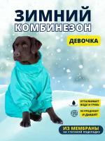 Комбинезон зимний для собак крупных пород SNOW plus, 60+ж (сука), зеленый, 5XL+