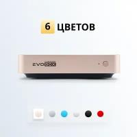 Система караоке Studio Evolution Evobox gold