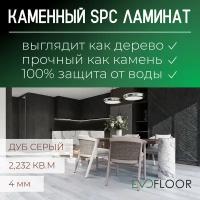 SPC ламинат Evofloor Home - Oak Grey (Дуб Серый)