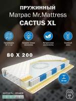 Матрас Mr. Mattress CACTUS XL 80x200