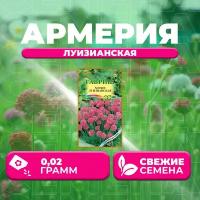 Армерия Луизианская 0,02г сер. Альпийская горка