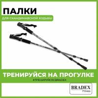 Палка для скандинавской ходьбы BRADEX телескопические Нордик Стайл 3 шт