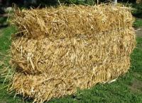 Пшеничная Солома союзная 19 кг в тюке Заготовка свежая