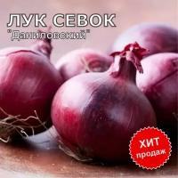 Лук севок на посадку 