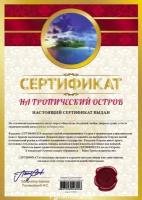 Сертификат подарочный 