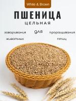 пшеница для птиц и грызунов, 2 кг