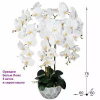 Искусственные Орхидеи Фаленопсис 5 веток бело-розовые латекс 75см в кашпо, от ФитоПарк