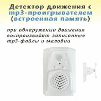 Детектор движения с mp3 проигрывателем WAYtronic (встроенная память)