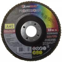 Лепестковый диск LUGAABRASIV 3656-125-40, 1 шт