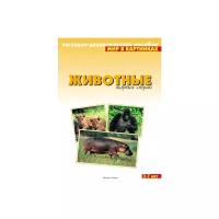 Набор карточек Мозаика-Синтез Мир в картинках. Животные жарких стран 29.5x21.5 см 8 шт