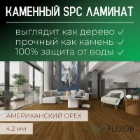 SPC ламинат Evofloor Optima Click - Орех Американский