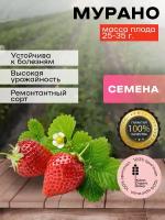 Семена клубники Мурано посадочный материал