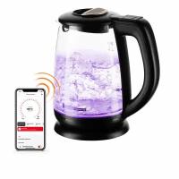 Чайник REDMOND SkyKettle G233S