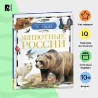 Животные России. Детская энциклопедия РОСМЭН. Обитатели морей, лесов, степей, гор и тундры. От медведей и китов до оленей и сов. Для детей от 10-ти лет