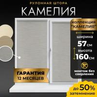 Рулонная штора LM Decor Камелия 49-04 серый 57х160