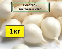 Лук севок Белый Орел 1 кг. Урожай 2023