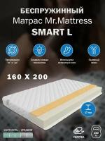 Матрас Mr.Mattress SMART L (160x200)
