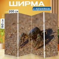 Ширма перегородка с принтом 