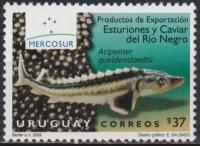 Почтовые марки Уругвай 2009г. 